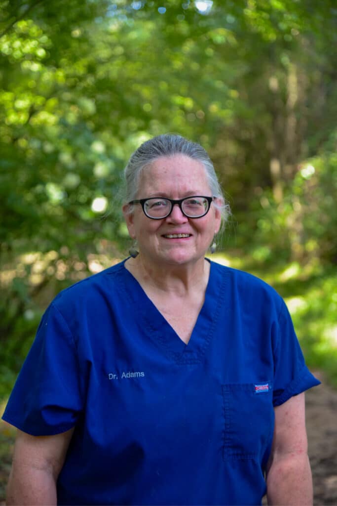 Dr. Jennifer Adams, veterinarian, at Ila Veterinary Clinic in Ila, Georgia