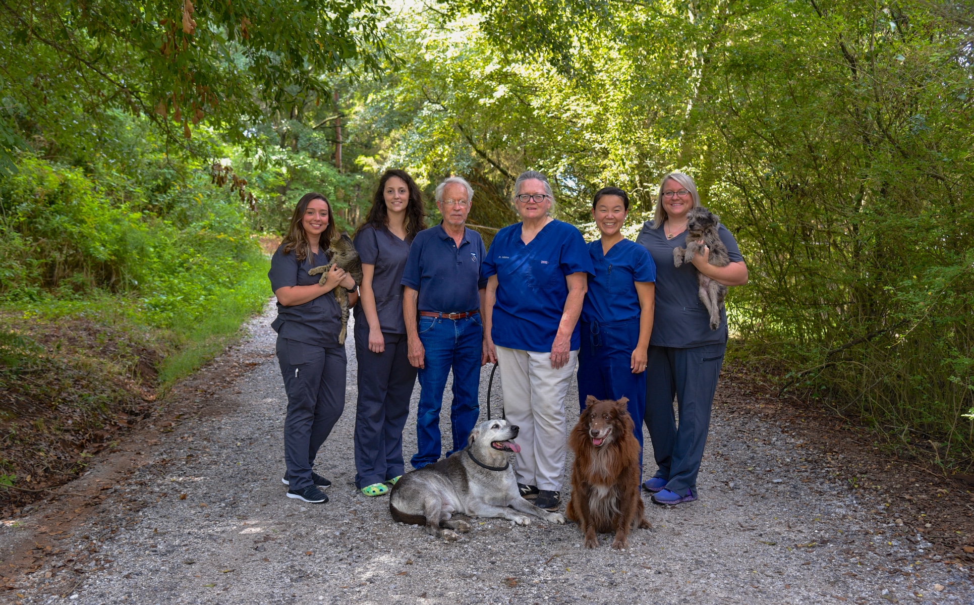 Vet Care Team at Ila Veterinary Clinic in Ila, Georgia